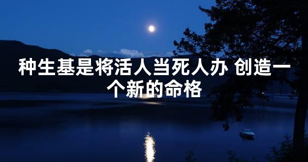 种生基是将活人当死人办 创造一个新的命格